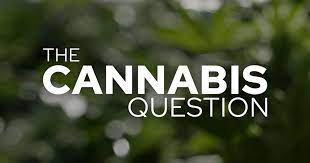 Marijuana Legalization Questions in NYS - LI Cannabis Tours